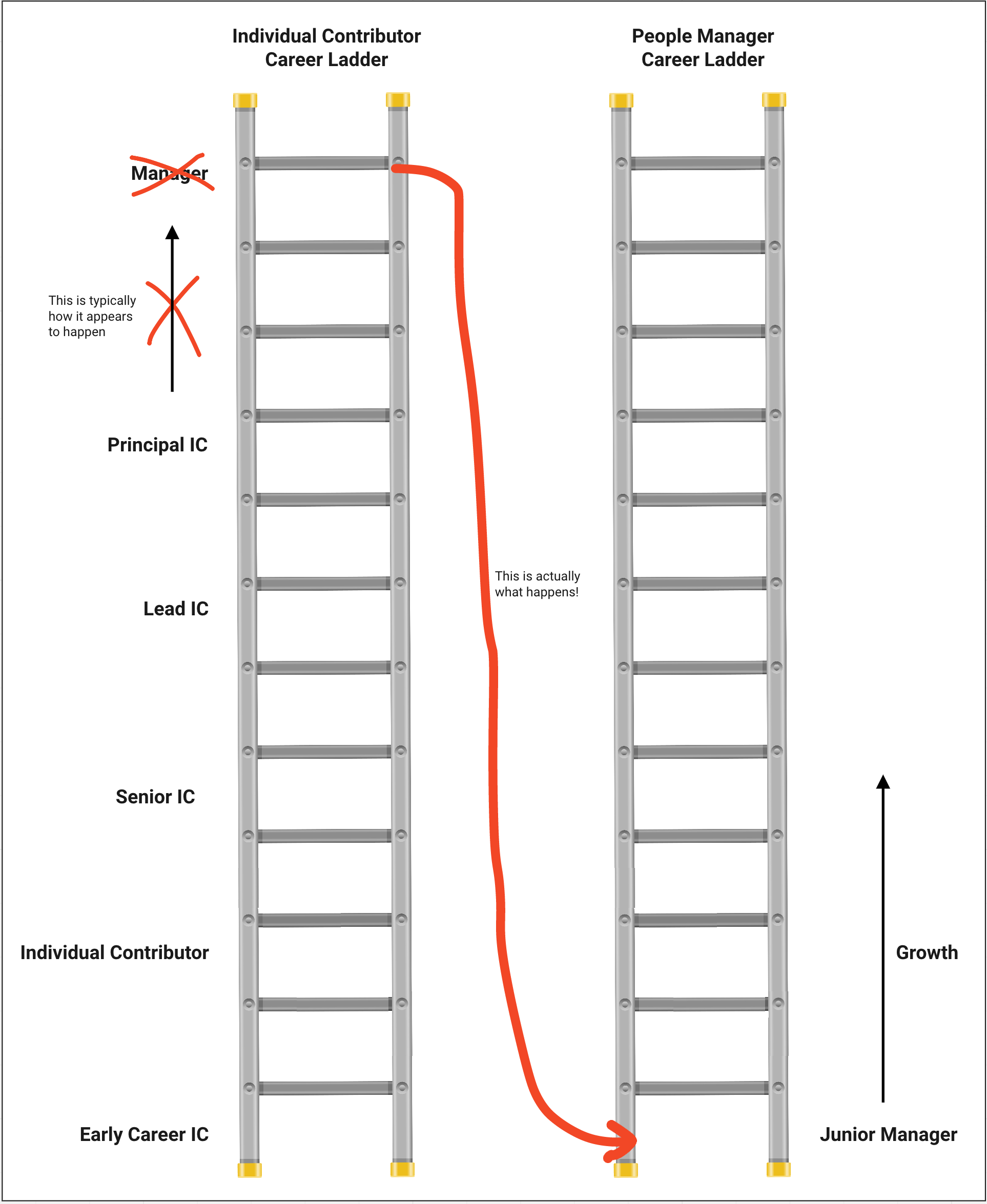 typical career ladder vs. real career ladder